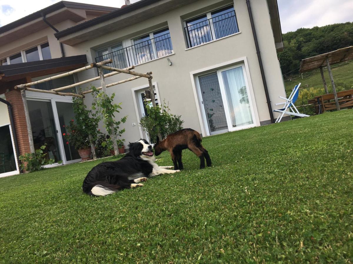 Agriturismo Fattoria Monte Baldo Vista Lago คาปริโน เวโรเนเซ ภายนอก รูปภาพ