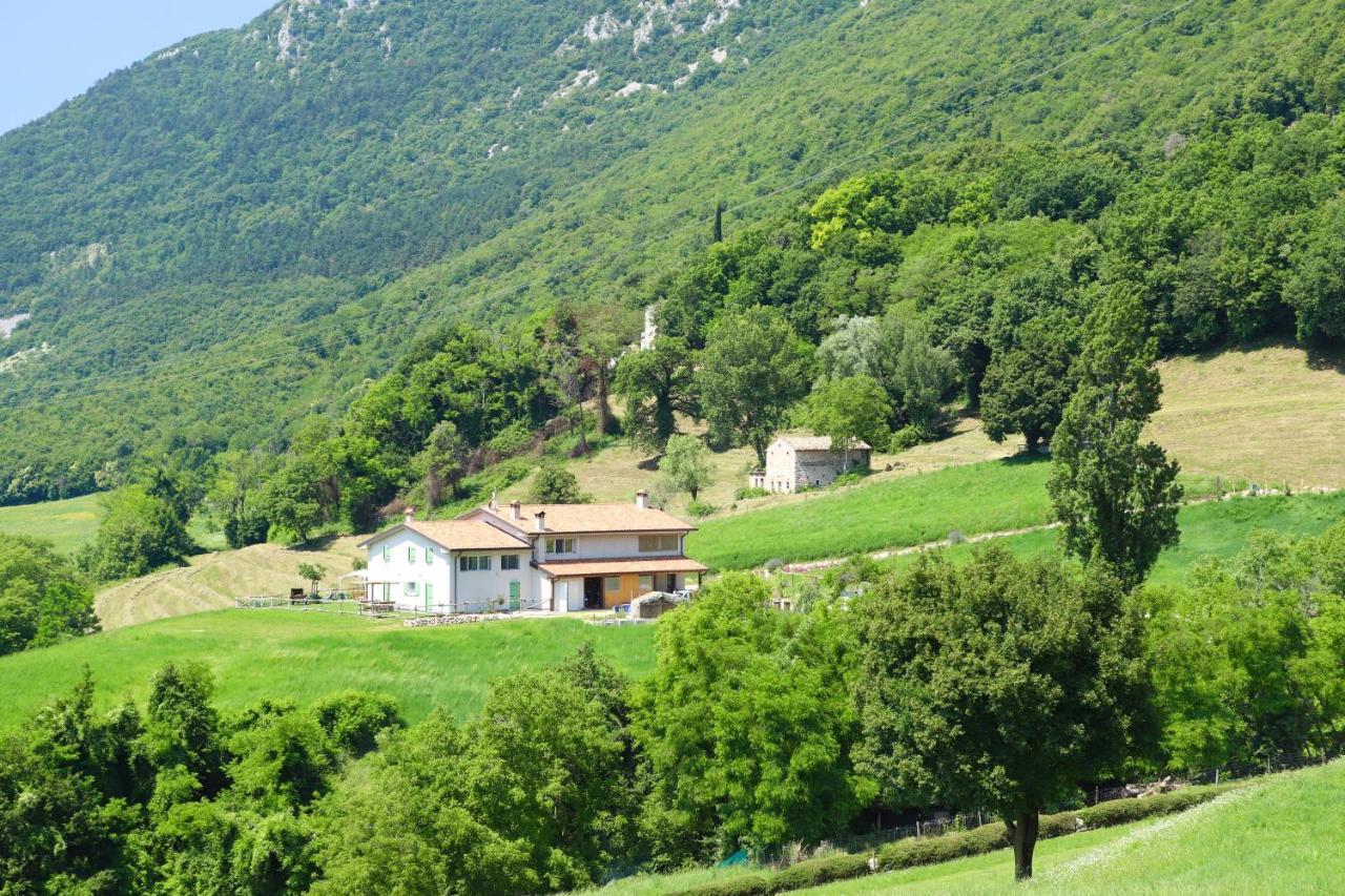 Agriturismo Fattoria Monte Baldo Vista Lago คาปริโน เวโรเนเซ ภายนอก รูปภาพ