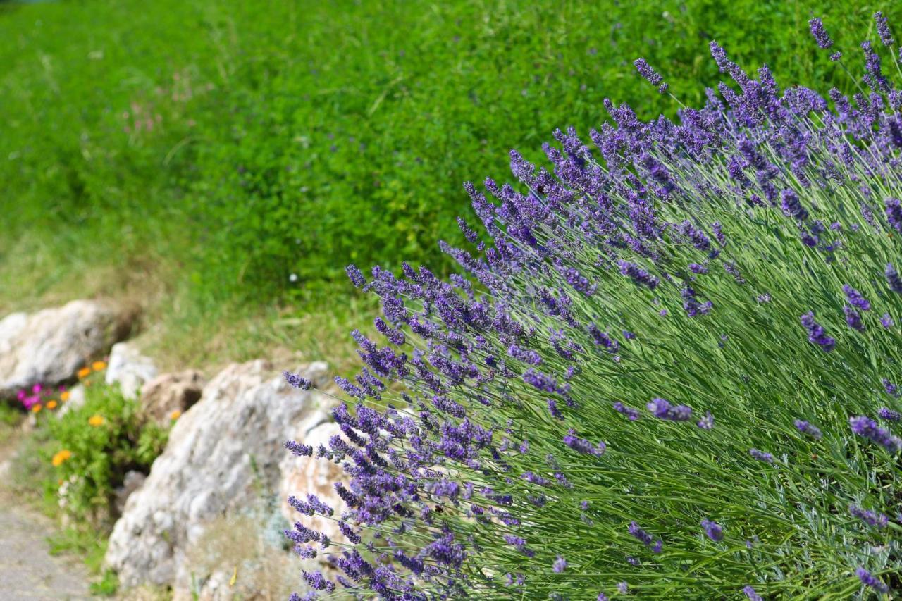 Agriturismo Fattoria Monte Baldo Vista Lago คาปริโน เวโรเนเซ ภายนอก รูปภาพ